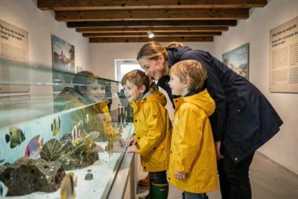 Famille avec enfants découvrant un aquarium lors d'une journée pluvieuse à Berck-sur-Mer, activité intérieure petit budget